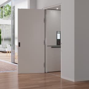 Luxury Flush Door
