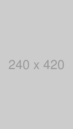 Monochrome graphic placeholder to visualize image dimensions 240 pixels by 420 pixels