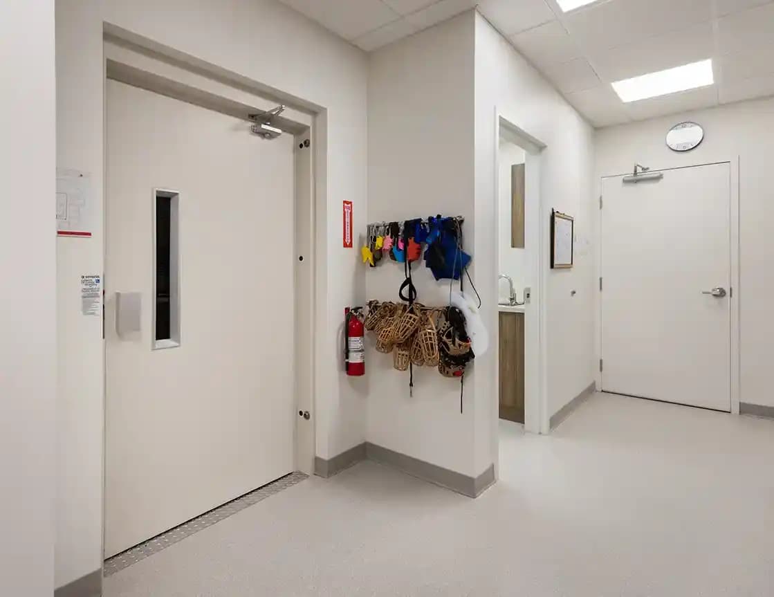 Savaria Prolift Gallery